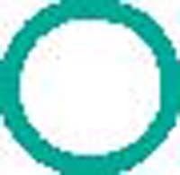 O'Ring Dual Fitting #10