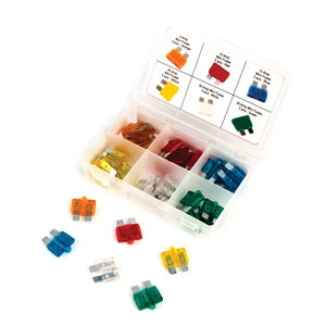 30 Piece Standard Fuse