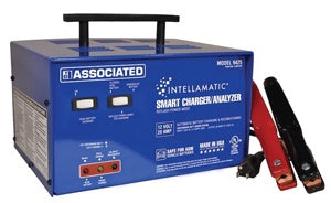 20 Amp Itellicharger Power