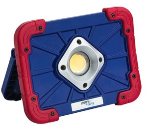 1500 Lumen Flood Light