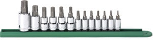 13 Pc. Torx Press Fit (2Pc.)