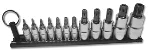 12 Pc Standard Tamper Torx