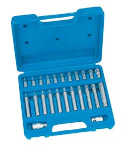 24 Piece Tamper-Proof Star Bit