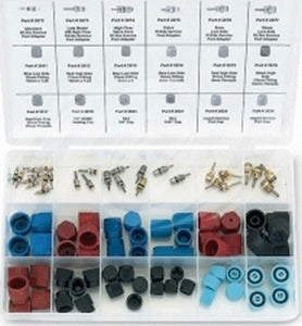 Master Valve Core & Cap