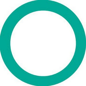 O'Ring - 4