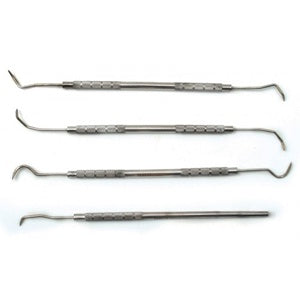 4 Piece Mini Dental Pick Set