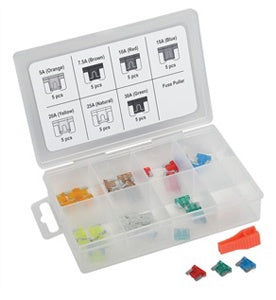 36 Pc Low Profile Mini Fuse