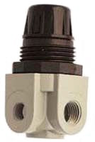 1/4 NPT Mini Heavy Duty