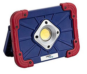 1000 Lumen Flood Light